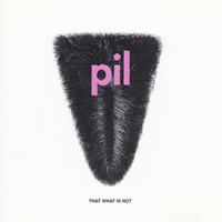image of PIL album cover showing fluffy elongated triangle parted in middle